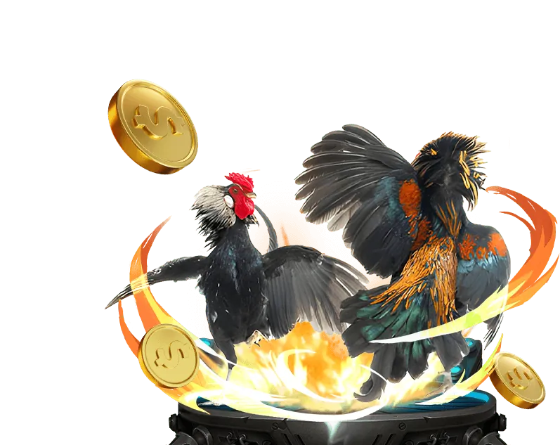 Cá cược quần vợt